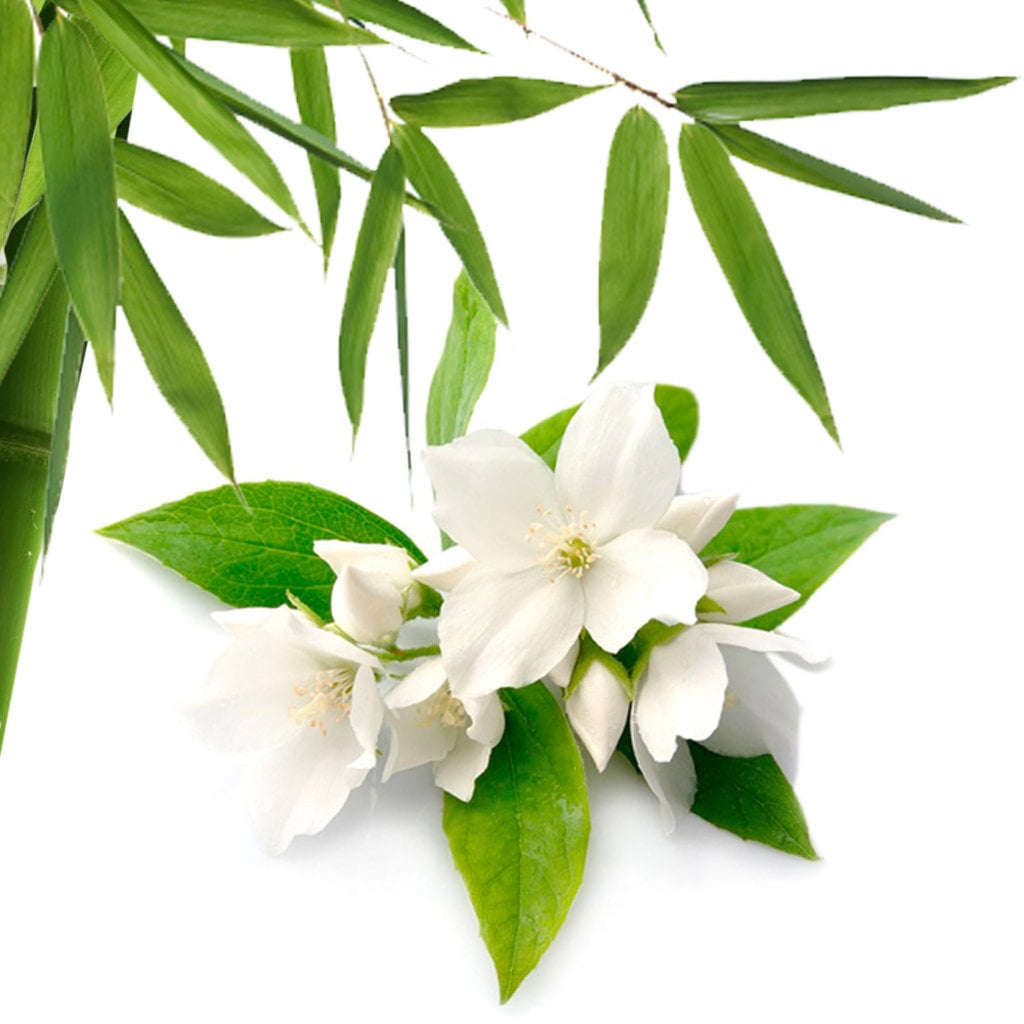Bath House Hand Lotion Bamboo Jasmine 50ml, tweede productfoto