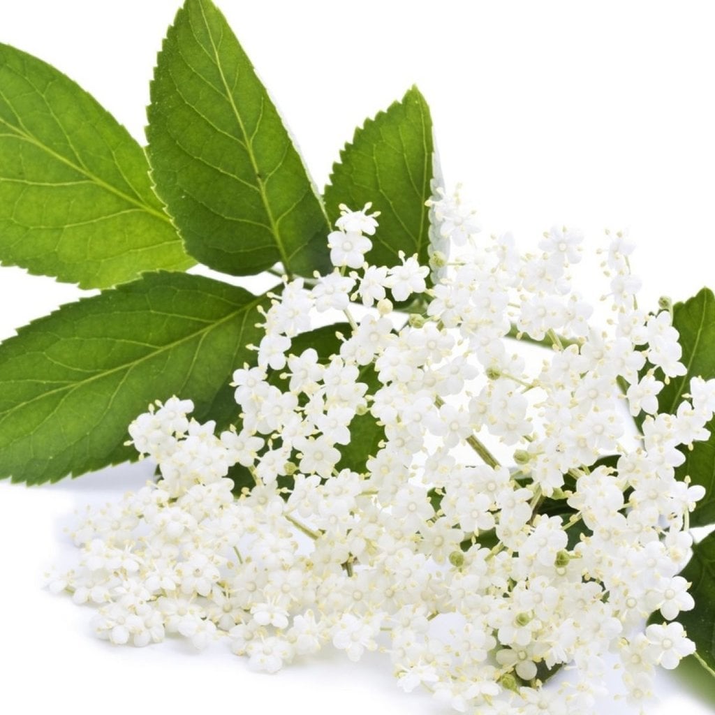Bath House Handzeep 100g Elderflower, tweede productfoto