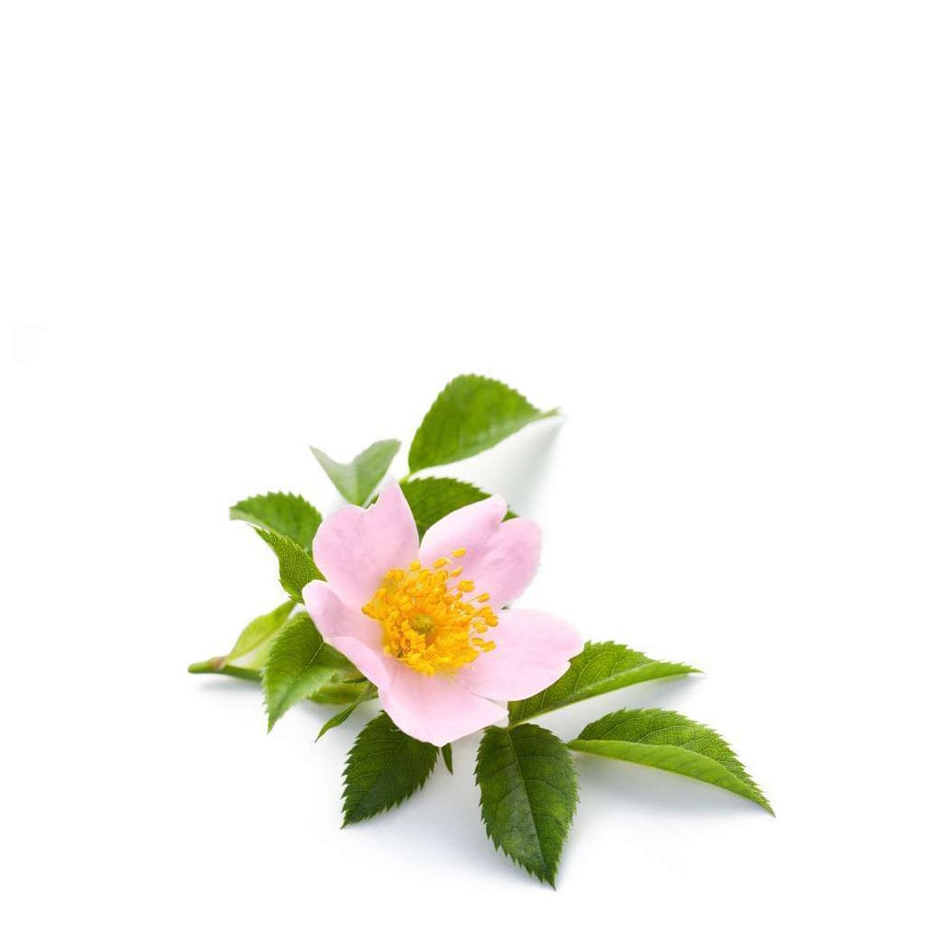 Bath House Handzeep 100g Wild Rose, tweede productfoto