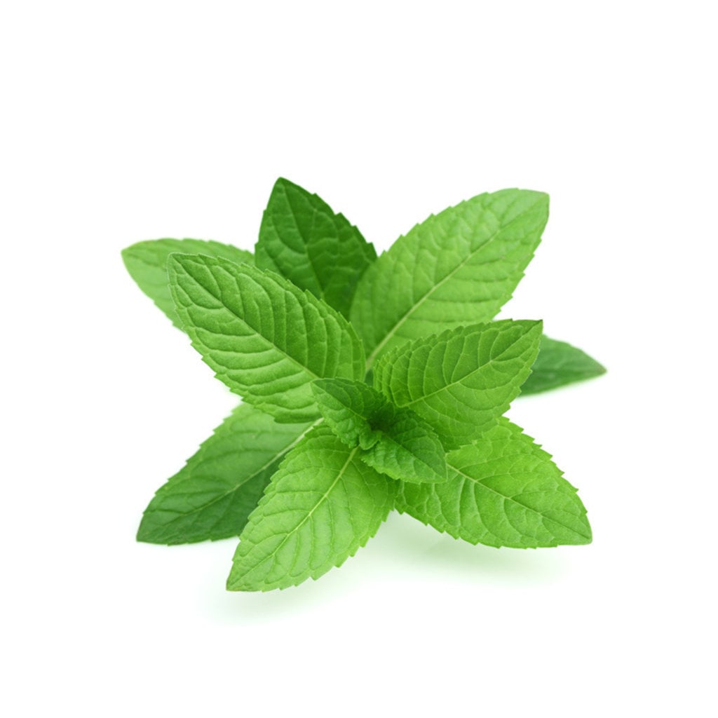 Bath House Lippenbalsem 15g Peppermint, derde productfoto