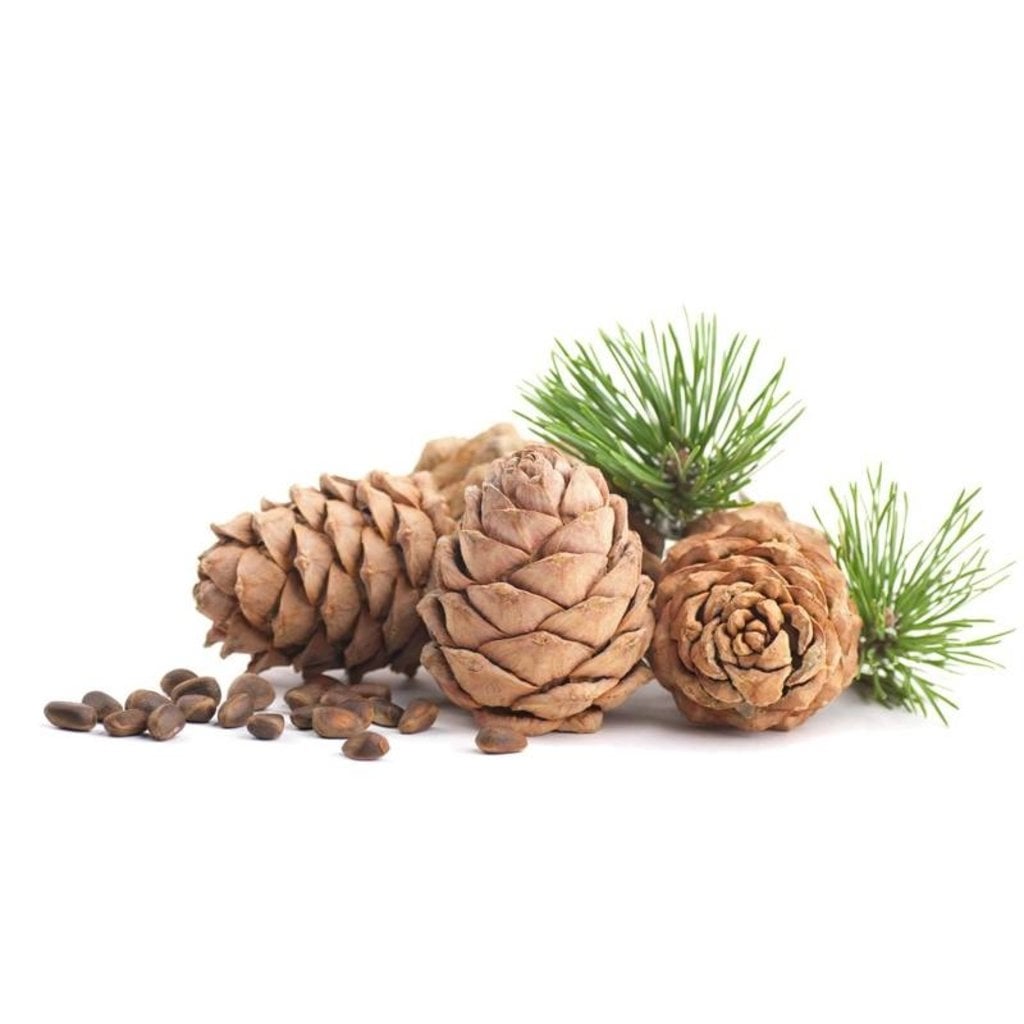 Taylor of Old Bond Street Scheercrème 150g Cedarwood, derde productfoto